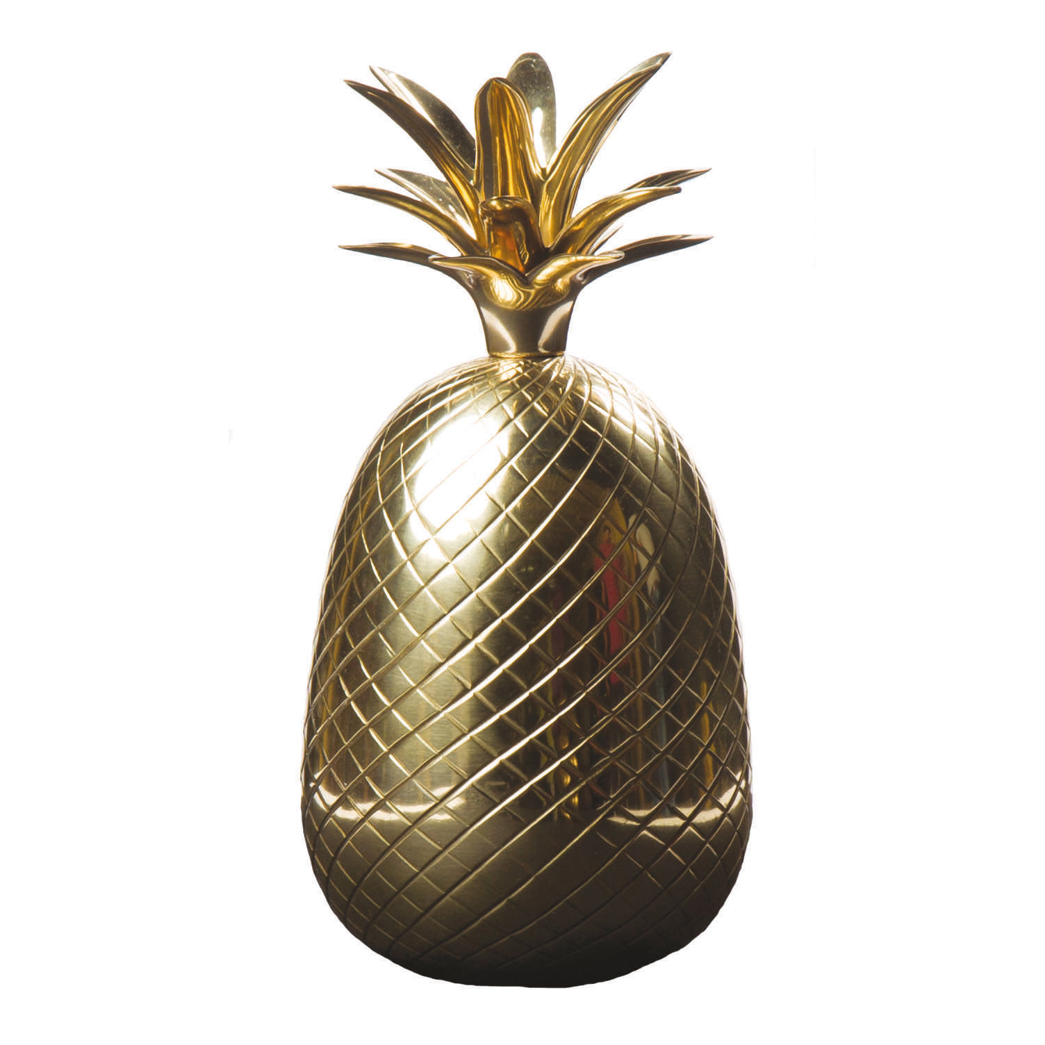 Pineapple Artifact by Kanchi