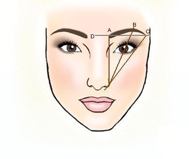 THE EYEBROW GUIDE 4