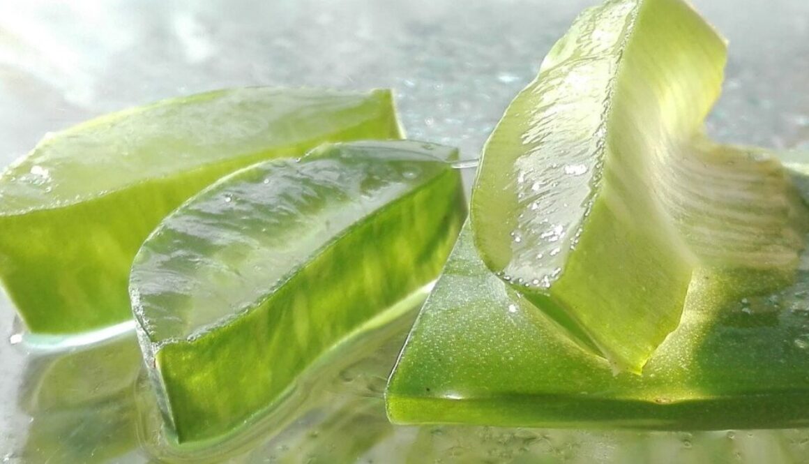 5-uses of aloe vera gel