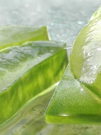 5-uses of aloe vera gel