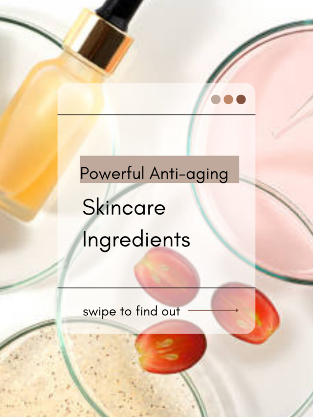 Anti-aging skincare ingredients